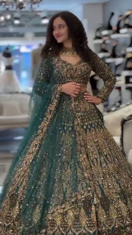 Soft Butterfly Net Lehenga Choli set, adorned with intricate sequins embroidery